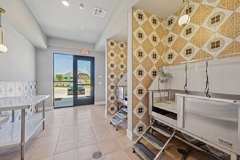 Dog spa w/ washing & drying stations